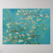Poster Vincent Van Gogh, Almond Blossom, Amandelbloesem (Devant)