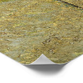 Poster Vincent van Gogh - Amandier en fleurs (Coin)