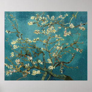 Poster Vincent Van Gogh - Arbre d'amandiers en fleurs