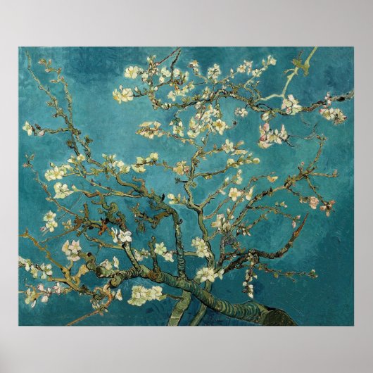 Poster Vincent Van Gogh - Arbre d'amandiers en fleurs (Devant)