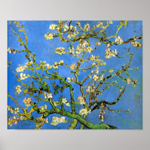 Poster Vincent Van Gogh - Arbres aux amandes florissants