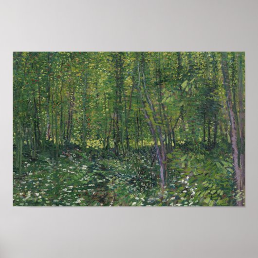 Poster Vincent van Gogh - Arbres et sous-bois (Devant)