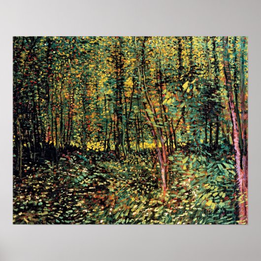 Poster Vincent Van Gogh - Arbres Et Sous-Croissance Art (Devant)