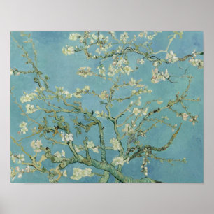 Poster Vincent van Gogh - Blossom des amandes