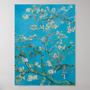 Poster Vincent Van Gogh - Branches aux amandes en fleurs,