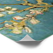 Poster Vincent van Gogh Branches avec Fleur d'amandes (Coin)