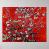 Poster Vincent van Gogh ~ Branches Avec Fleur D'Amandes (Devant)