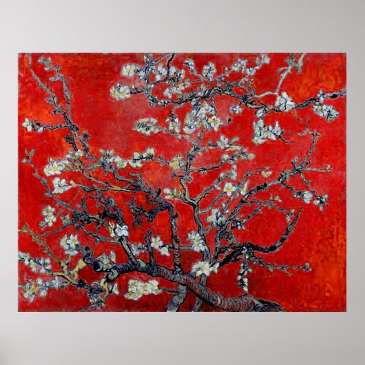 Poster Vincent van Gogh ~ Branches Avec Fleur D'Amandes (Devant)
