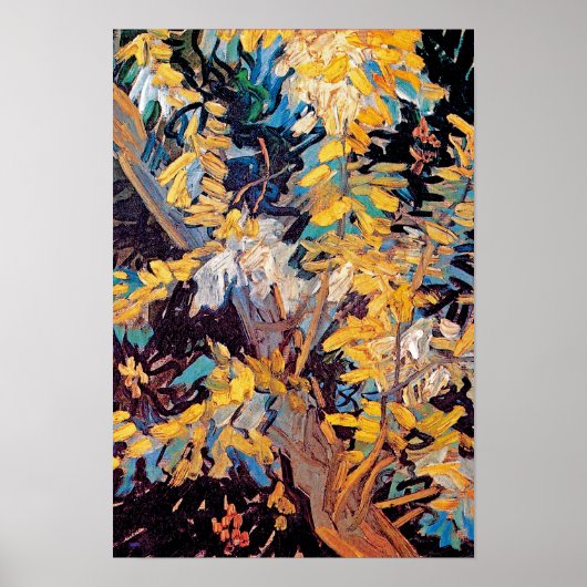 Poster Vincent Van Gogh - Branches de l'acacia en florais (Devant)