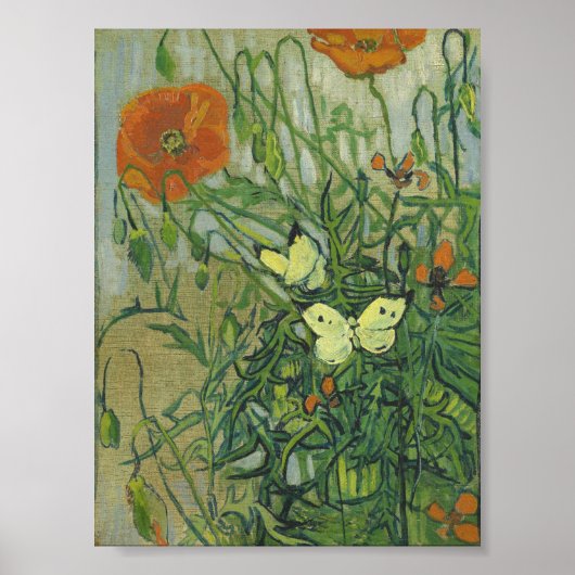 Poster Vincent Van Gogh - Butterflies and poppies (Devant)