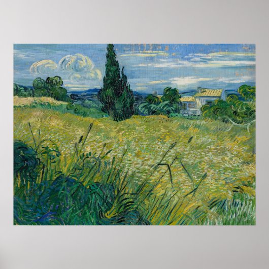 Poster Vincent Van Gogh, champ de blé vert avec Cypress (Devant)