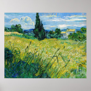 Poster Vincent van Gogh - Champ de blé vert avec Cypress