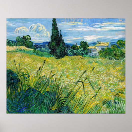 Poster Vincent van Gogh - Champ de blé vert avec Cypress (Devant)