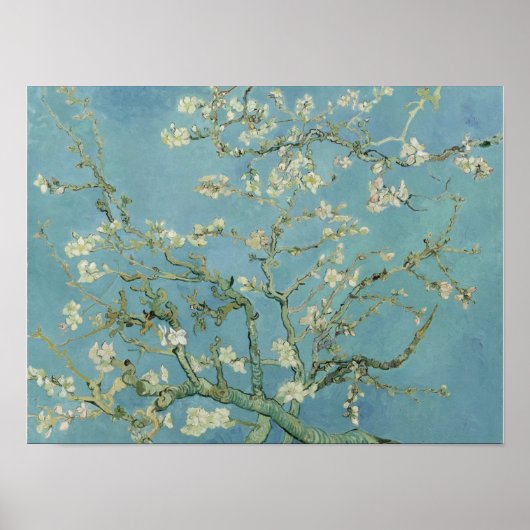 Poster Vincent van Gogh, Épingle d'amande à fleurs (Devant)