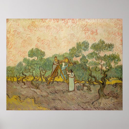 Poster Vincent van Gogh - Femmes cueillette d'olives (Devant)