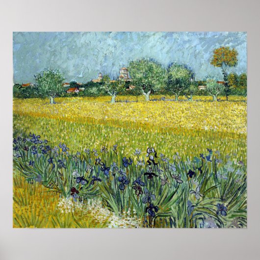 Poster Vincent van Gogh Field of Flowers près d'Arles (Devant)