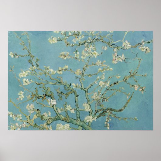 Poster Vincent van Gogh - Fleur d'amandes (Devant)