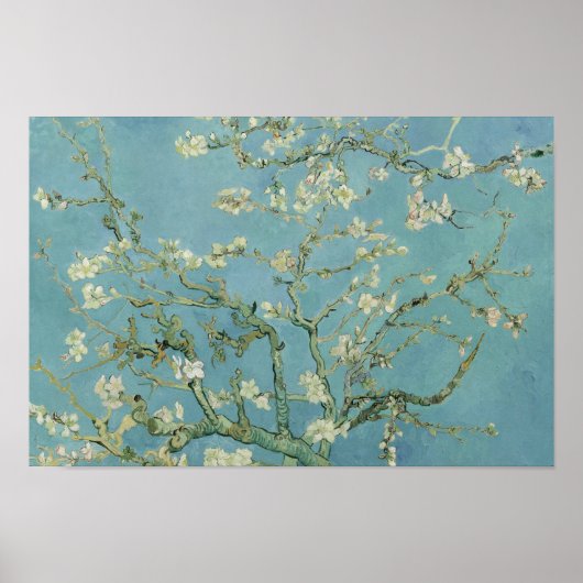 Poster Vincent van Gogh - Fleur d'amandes (Devant)