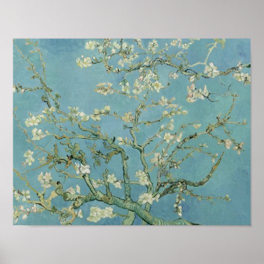 Poster Vincent van Gogh - Fleur d'amandes (Devant)