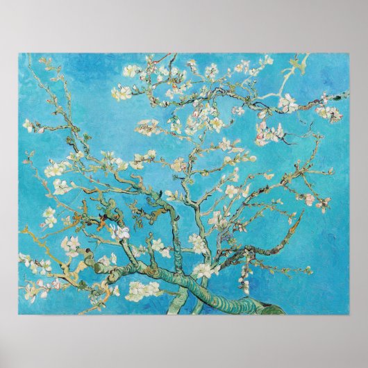 Poster Vincent van Gogh - Floraison des amandiers (Devant)