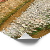 Poster Vincent van Gogh Flower Beds in Holland, c. 1883 (Coin)