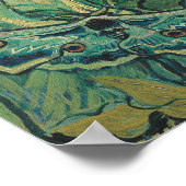 Poster Vincent Van Gogh - Grand Moth Peacock (Coin)