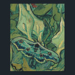 Poster Vincent Van Gogh - Grand Moth Peacock<br><div class="desc">Vincent Van Gogh - Grand Moth Peacock</div>