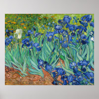 Vincent Van Gogh - Iris
