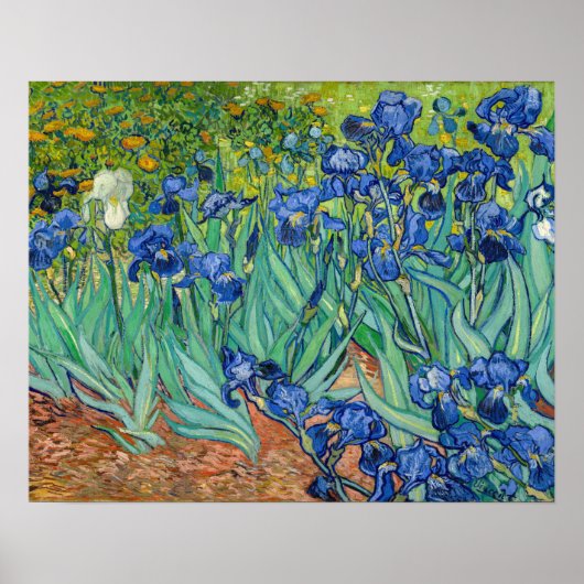 Poster Vincent Van Gogh - Iris (Devant)
