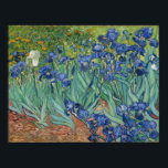 Poster Vincent Van Gogh Irises<br><div class="desc">Voici la beauté époustouflante des "Irises" de Vincent Van Gogh. Ce chef-d'oeuvre saisit l'essence de la tranquillité et de l'harmonie avec ses couleurs vives et ses touches délicates. Chaque pétale semble danser dans la douce brise, invitant les spectateurs dans un monde de sérénité et d'émerveillement. Cette peinture emblématique témoigne du...</div>