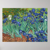 Poster Vincent Van Gogh Irises (Devant)