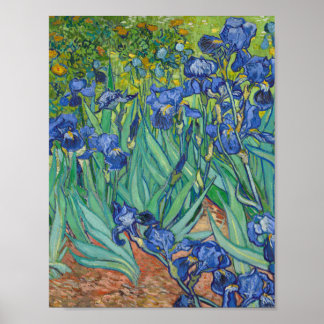 Poster Vincent Van Gogh - Irises