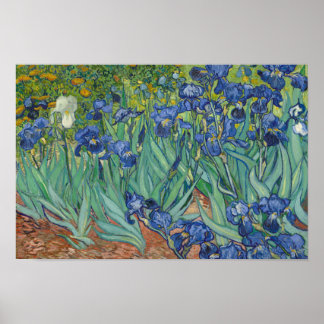 Poster Vincent van Gogh - Irises