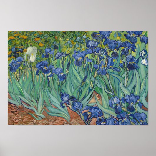 Poster Vincent van Gogh - Irises (Devant)