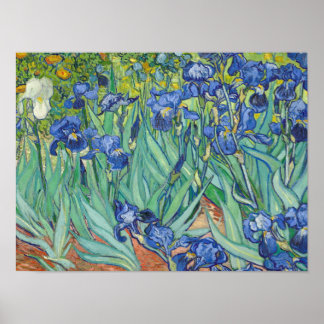 Poster Vincent Van Gogh - Irises 1889