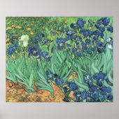 Poster Vincent van Gogh | Irises, 1889 (Devant)