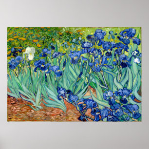 Poster Vincent van Gogh - Irises - Art célèbre