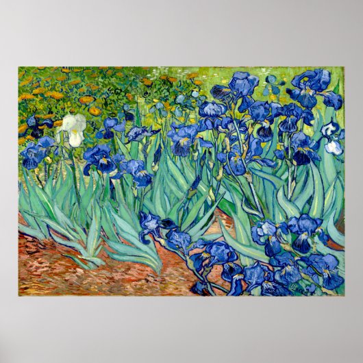 Poster Vincent van Gogh - Irises - Art célèbre (Devant)