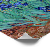 Poster Vincent Van Gogh Irises Vibrant Flower Art (Coin)