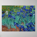 Poster Vincent Van Gogh Irises Vibrant Flower Art<br><div class="desc">Vincent Van Gogh Irises Vibrant Flower Art</div>