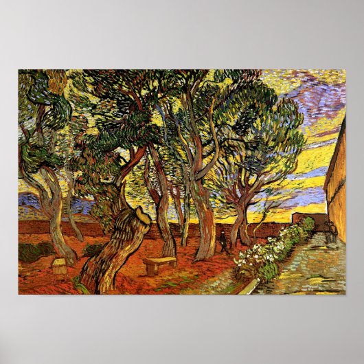 Poster Vincent Van Gogh - Jardin De L'Hôpital Saint-Paul (Devant)