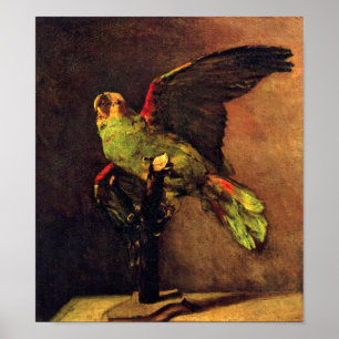 Poster Vincent Van Gogh - L'amateur d'oiseaux perroquet v