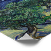 Poster Vincent van Gogh - Les oliviers (Coin)