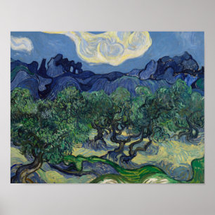 Poster Vincent van Gogh - Les oliviers