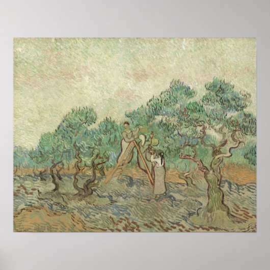 Poster Vincent Van Gogh | L'Orchard Olivier (Devant)