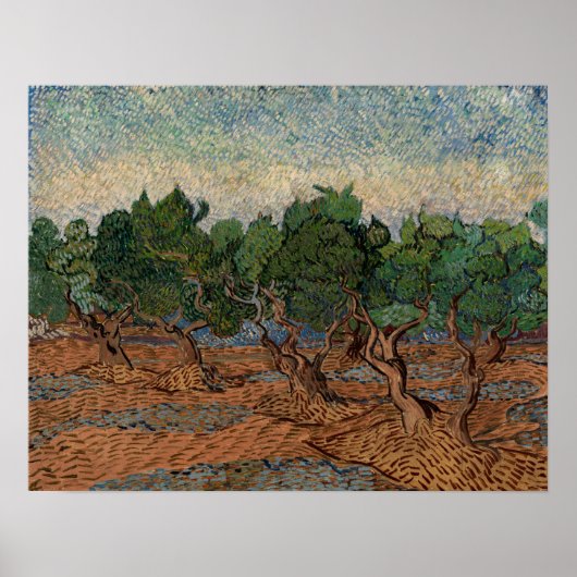 Poster Vincent van Gogh - Olive Grove (Devant)
