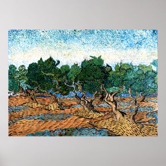 Poster Vincent van Gogh - Olive Grove (Devant)