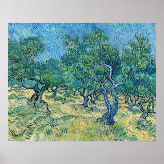 Poster Vincent van Gogh - Olive Grove (Devant)