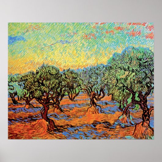 Poster Vincent Van Gogh - Olive Grove avec ciel orange (Devant)