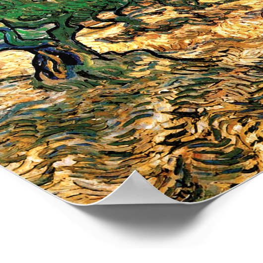 Poster Vincent Van Gogh - Olive Grove Fine Art (Coin)